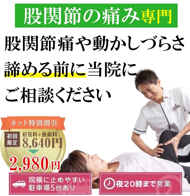 股関節の痛み 和歌山の整体【医療関係者や専門家も絶賛】廣井整体院